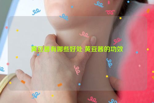 黄豆酱有哪些好处 黄豆酱的功效