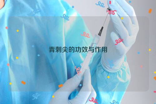 青刺尖的功效与作用