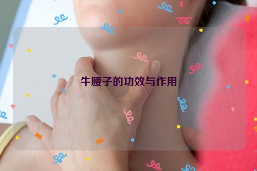 牛腰子的功效与作用