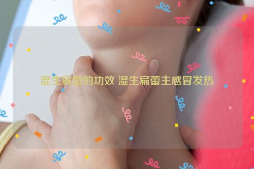 湿生扁蕾的功效 湿生扁蕾主感冒发热