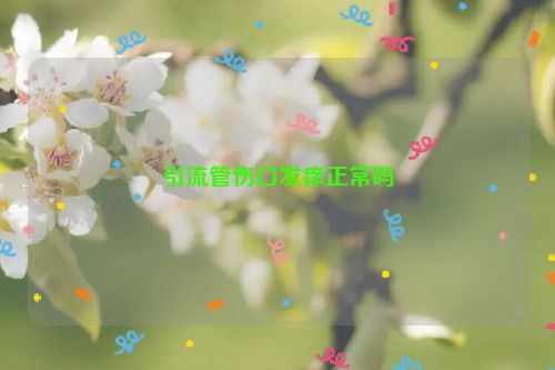 引流管伤口发痒正常吗