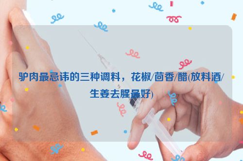 驴肉最忌讳的三种调料，花椒/茴香/醋(放料酒/生姜去腥最好)