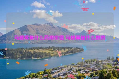 马蜂窝有什么药用价值 马蜂巢是什么做的